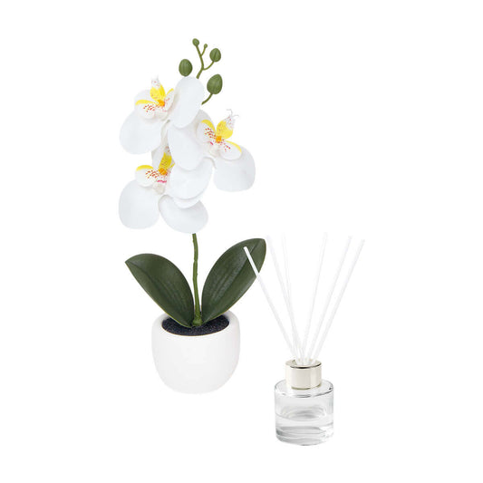 SET DECORATIVO FIORA